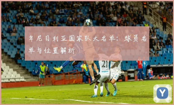 年尼日利亚国家队大名单：球员名单与位置解析