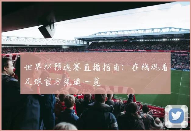 世界杯预选赛直播指南：在线观看足球官方渠道一览