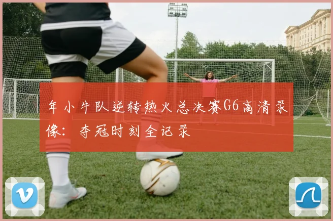 年小牛队逆转热火总决赛G6高清录像：夺冠时刻全记录