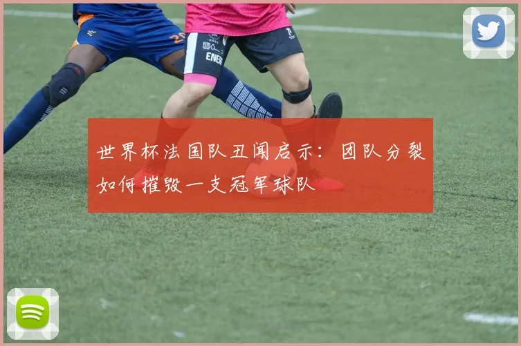 世界杯法国队丑闻启示：团队分裂如何摧毁一支冠军球队