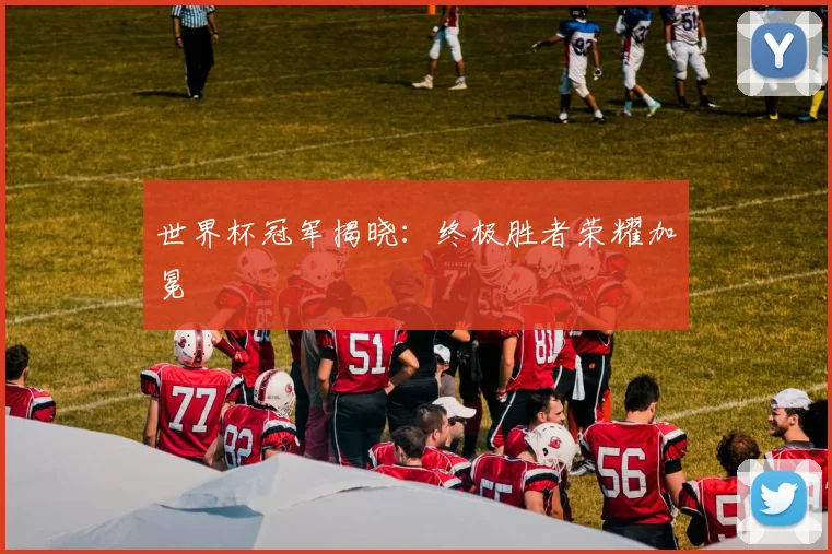 世界杯冠军揭晓:终极胜者荣耀加冕