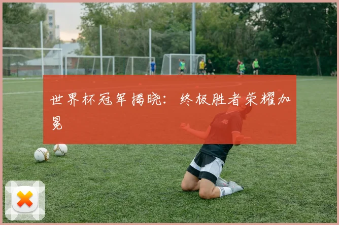 世界杯冠军揭晓:终极胜者荣耀加冕