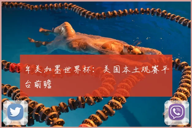 年美加墨世界杯：美国本土观赛平台前瞻