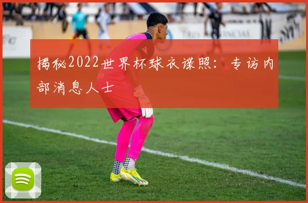 揭秘2022世界杯球衣谍照:专访内部消息人士