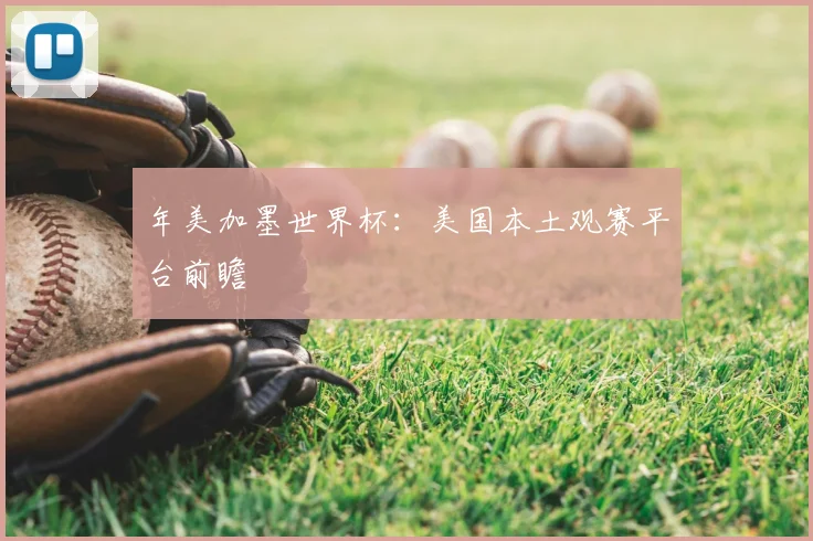年美加墨世界杯：美国本土观赛平台前瞻