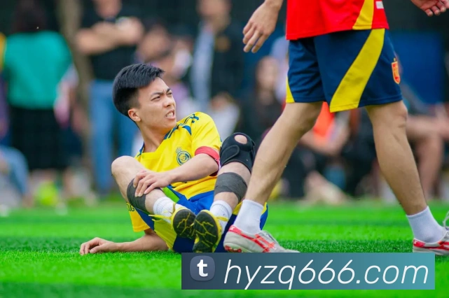 金年汇网页版登录入口服务体系