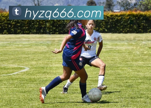 金年汇网页版登录入口APP 体育赛事宣传图